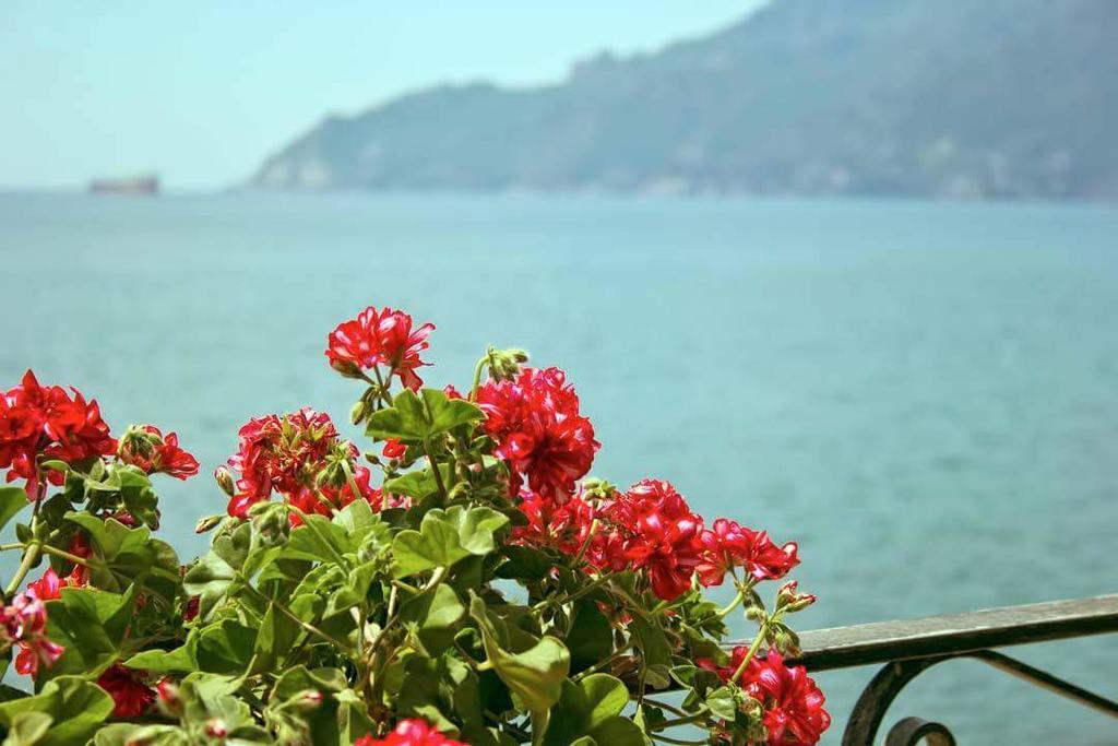 B&B Fronte Del Mare Salerno Exterior foto